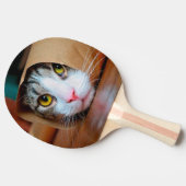 Katze in braunem Papier verpackt Tischtennis Schläger (Seitenansicht)