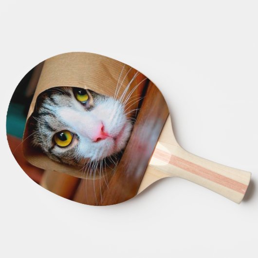 Katze in braunem Papier verpackt Tischtennis Schläger (Seitenansicht)
