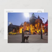 Katze in Bukarest, Rumänien Postkarte (Vorne/Hinten)