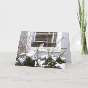 Katze in dem Fenster-Weihnachtshübschem Schwarzem Feiertagskarte