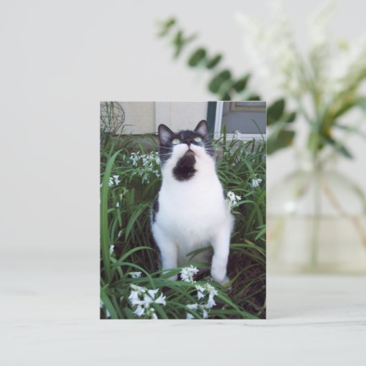 Katze in den Blume Postkarte (Stehend Vorderseite)