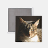Katze in den Schatten Magnet (Vorderseite/Rückseite)