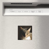 Katze in den Schatten Magnet (In Situ (Geschirrspüler))