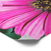 Katze in der Blume Poster (Ecke)