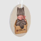 Katze in der Box Ornament (Vorderseite)