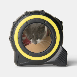 Katze in der Kiste Maßband