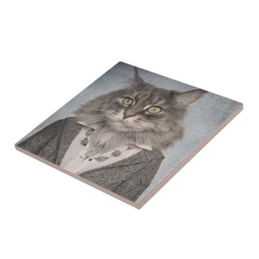 Katze in der Kleidung Fliese (Seite)