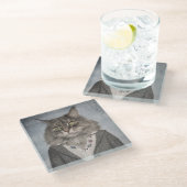 Katze in der Kleidung Glasuntersetzer (Schrägansicht)