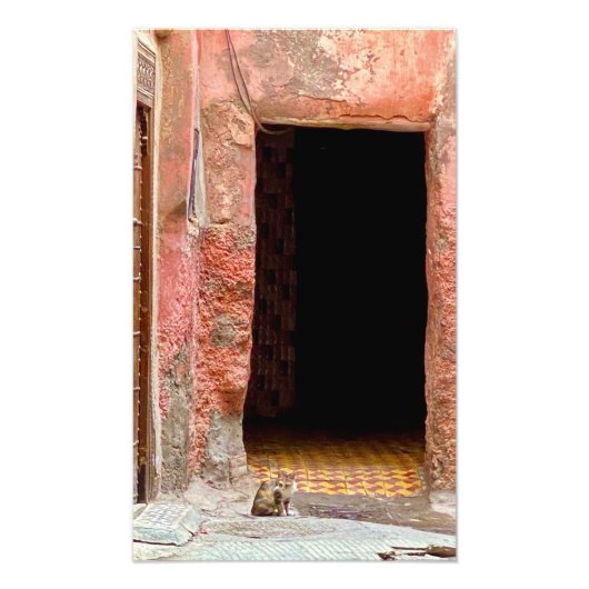 Katze in der Medina - Marrakesch, Marokko Fotodruck (Vorne)