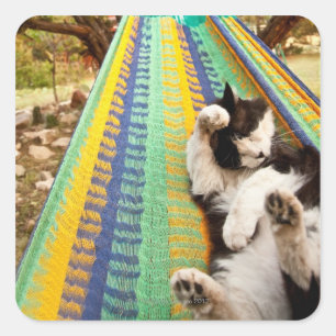 Katze in der mexikanischen Maya-Hängematte Quadratischer Aufkleber