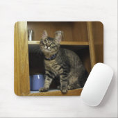 Katze in der Mousepad-Schublade Mousepad (Mit Mouse)