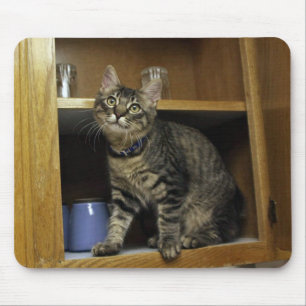 Katze in der Mousepad-Schublade Mousepad