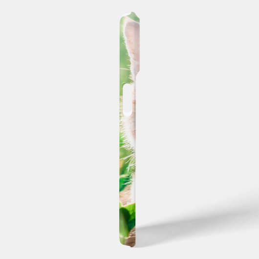 Katze in der Natur Case-Mate iPhone Hülle (Rückseite / Rechts)