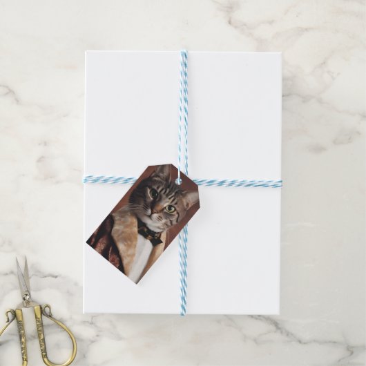 Katze in der Rauchjacke Geschenkanhänger (Mit Garn)