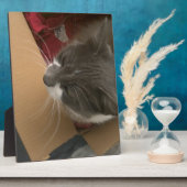 Katze in der Schachtel Fotoplatte (Seite)