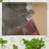Katze in der Schachtel Geschirrtuch (Gefaltet)