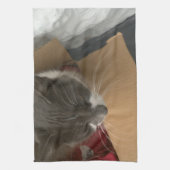 Katze in der Schachtel Geschirrtuch (Vertikal)