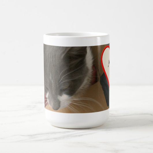 Katze in der Schachtel Kaffeetasse (Mittel)
