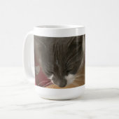 Katze in der Schachtel Kaffeetasse (Vorderseite Links)