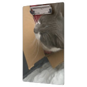 Katze in der Schachtel Klemmbrett (Links)