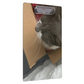 Katze in der Schachtel Klemmbrett (Rechts)