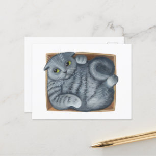 Katze in der Schachtel Postkarte