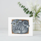 Katze in der Schachtel Postkarte (Stehend Vorderseite)