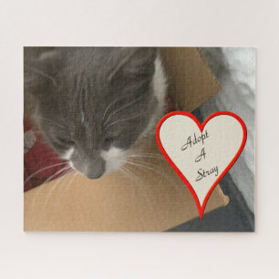 Katze in der Schachtel Puzzle