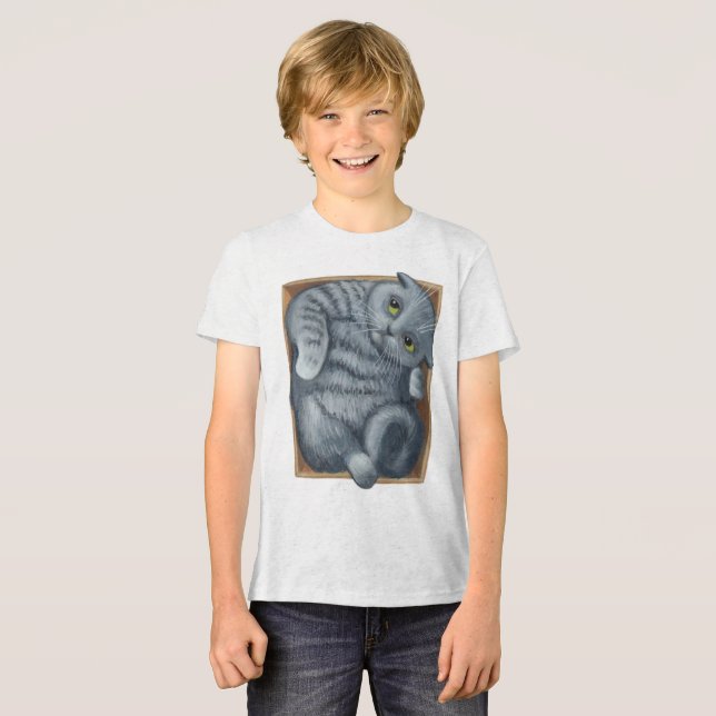 Katze in der Schachtel Tri-Blend Shirt (Vorderseite voll)