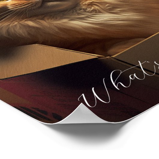 Katze in der Schuhschachtel - sarkastische Katze Poster (Ecke)