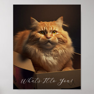 Katze in der Schuhschachtel - sarkastische Katze Poster