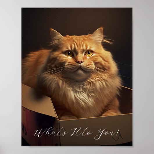 Katze in der Schuhschachtel - sarkastische Katze Poster (Vorne)