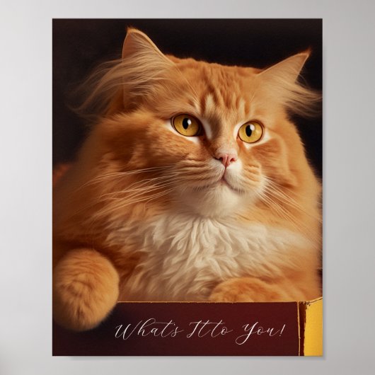 Katze in der Schuhschachtel - sarkastische Katze Poster (Vorne)