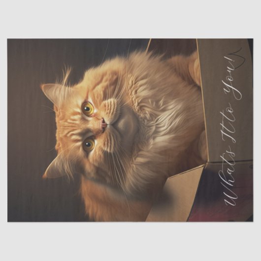 Katze in der Schuhschachtel - sarkastische Katze Seidenpapier (Vorderseite)