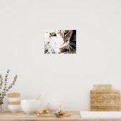 Katze in der Sonne Poster (Küche)