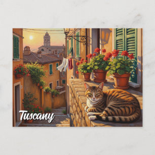 Katze in der Toskana Italien Postkarte