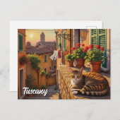 Katze in der Toskana Italien Postkarte (Vorne/Hinten)