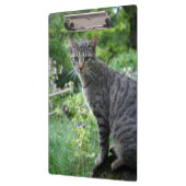 Katze in der Zen-Garten-Zwischenablage Klemmbrett (Links)