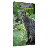 Katze in der Zen-Garten-Zwischenablage Klemmbrett (Rechts)
