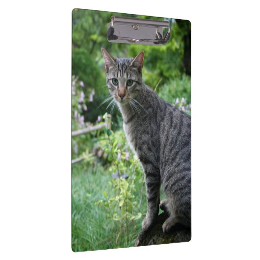 Katze in der Zen-Garten-Zwischenablage Klemmbrett (Rechts)
