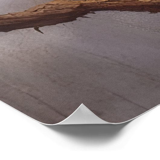 Katze in einem Baum Poster (Ecke)