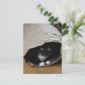 Katze in einem Beutel 2 Postkarte (Stehend Vorderseite)