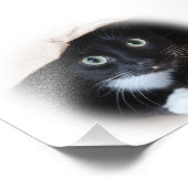 Katze in einem Beutel Fotodruck (Ecke)