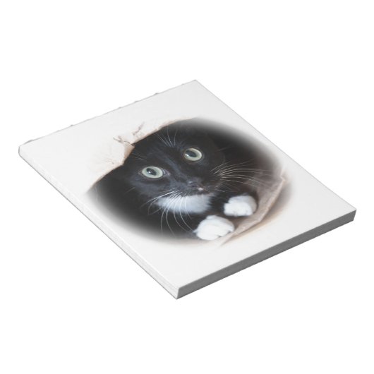 Katze in einem Beutel Notizblock (angewinkelt)