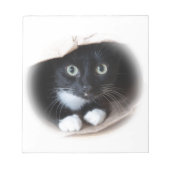 Katze in einem Beutel Notizblock (Vorderseite)