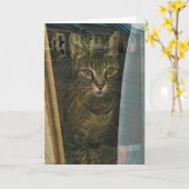 Katze in einem Fenster, das die Gedanken von dir w Karte (Gelbe Blume)