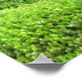 Katze in einem Fenster Poster (Ecke)