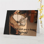 Katze in einem Geschenksack: Big Birthday Card Karte (Gelbe Blume)