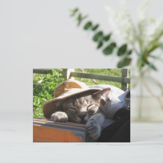 Katze in einem Hut Postkarte (Stehend Vorderseite)