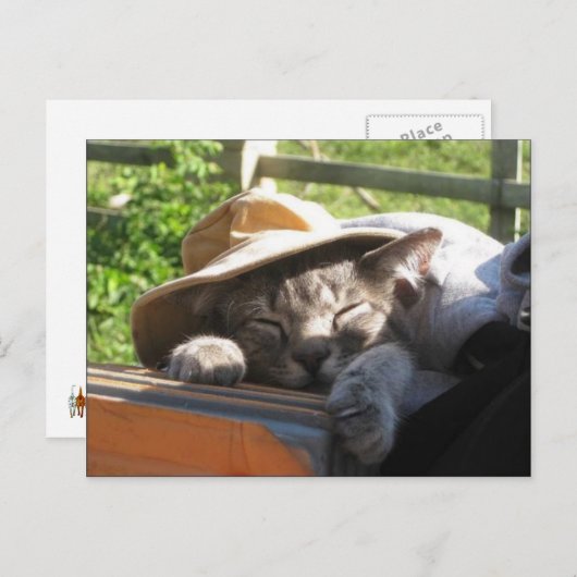 Katze in einem Hut Postkarte (Vorne/Hinten)